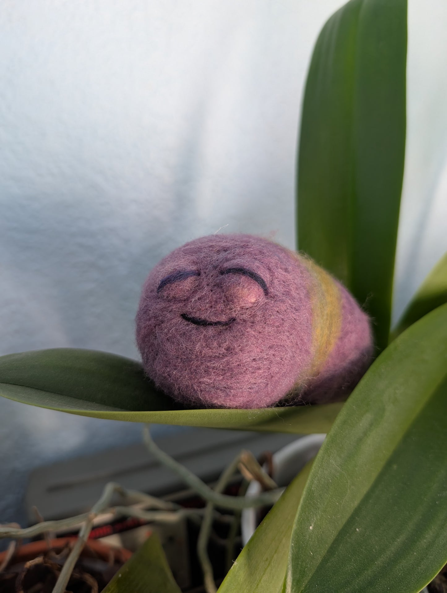 Needle Felted Cute Sleepy Worms