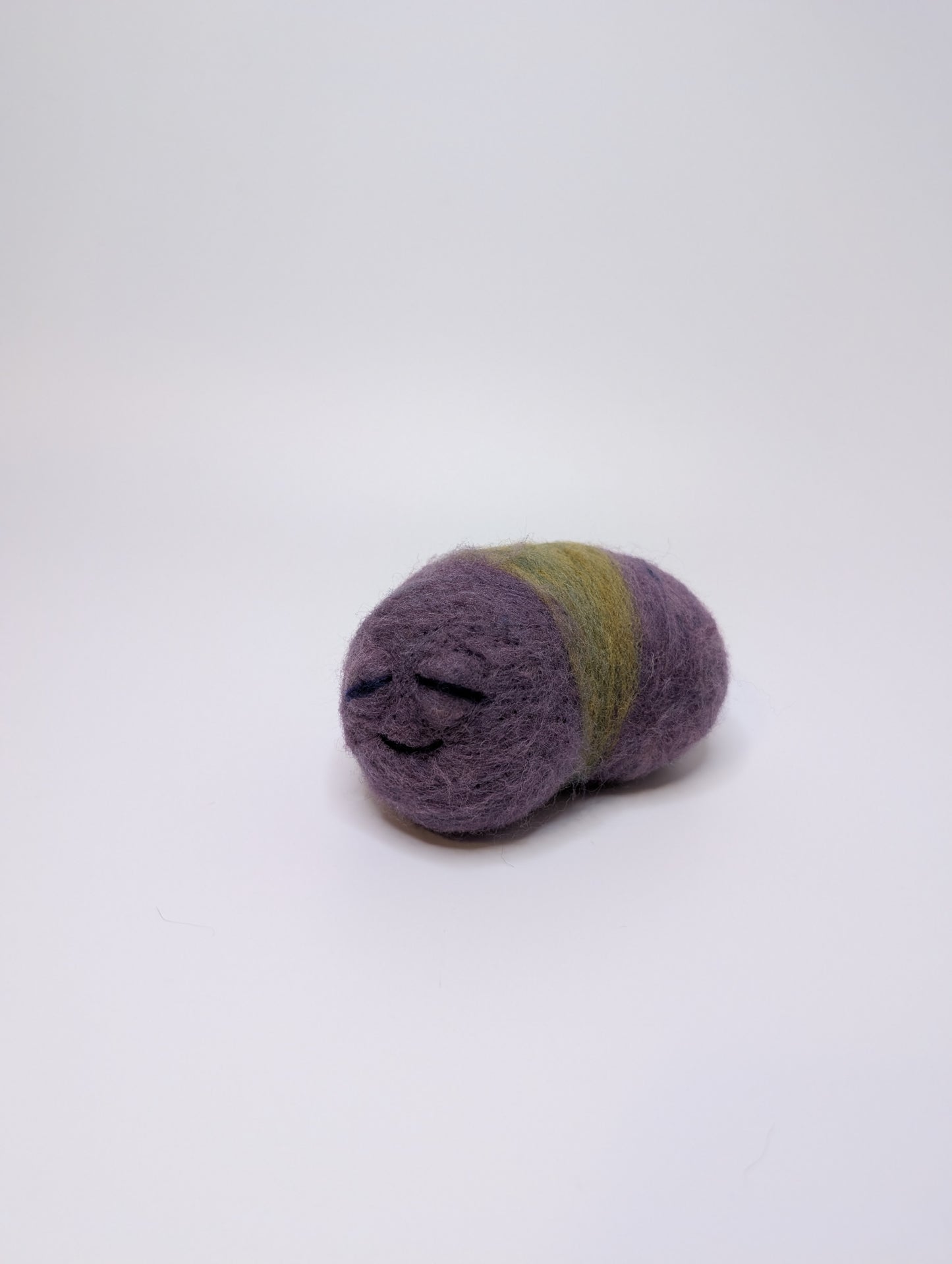Needle Felted Cute Sleepy Worms