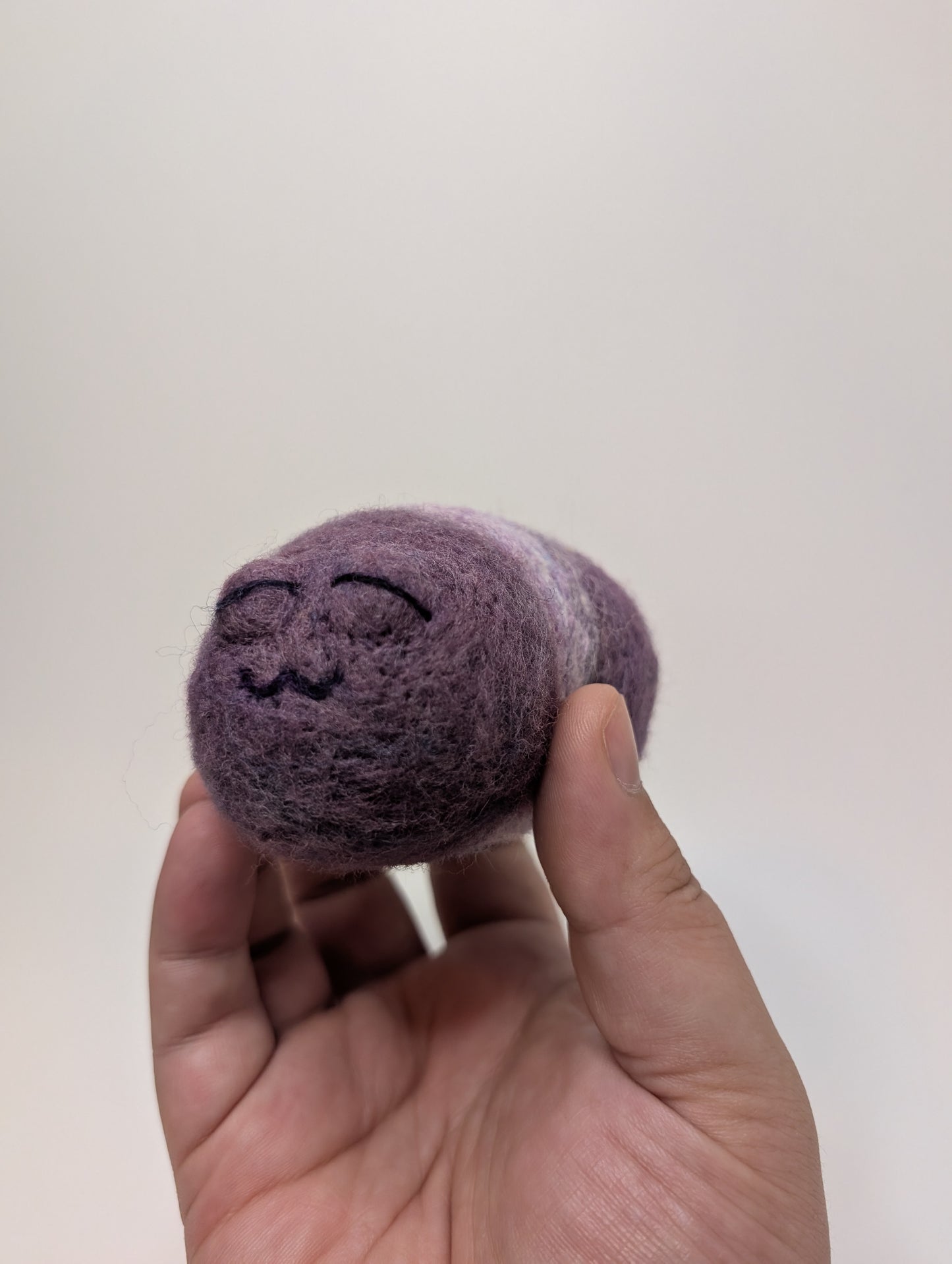 Needle Felted Cute Sleepy Worms