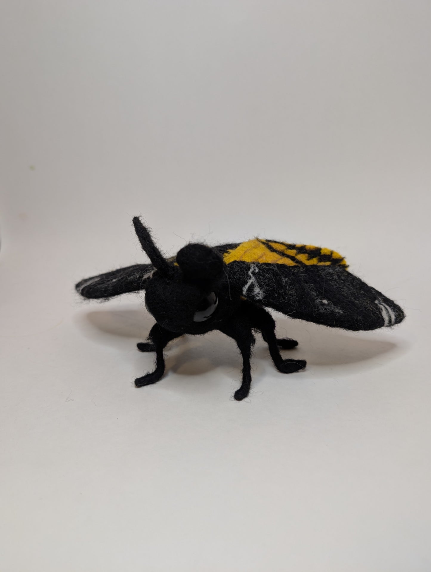 Needle Felted Death's Head Moth