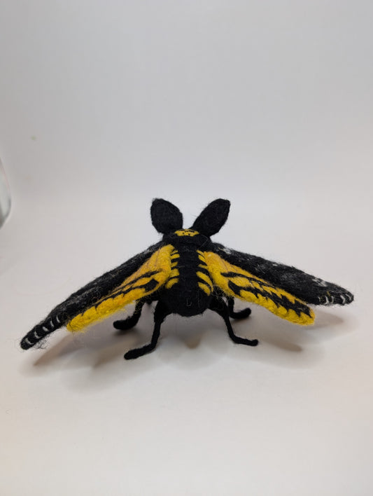 Needle Felted Death's Head Moth
