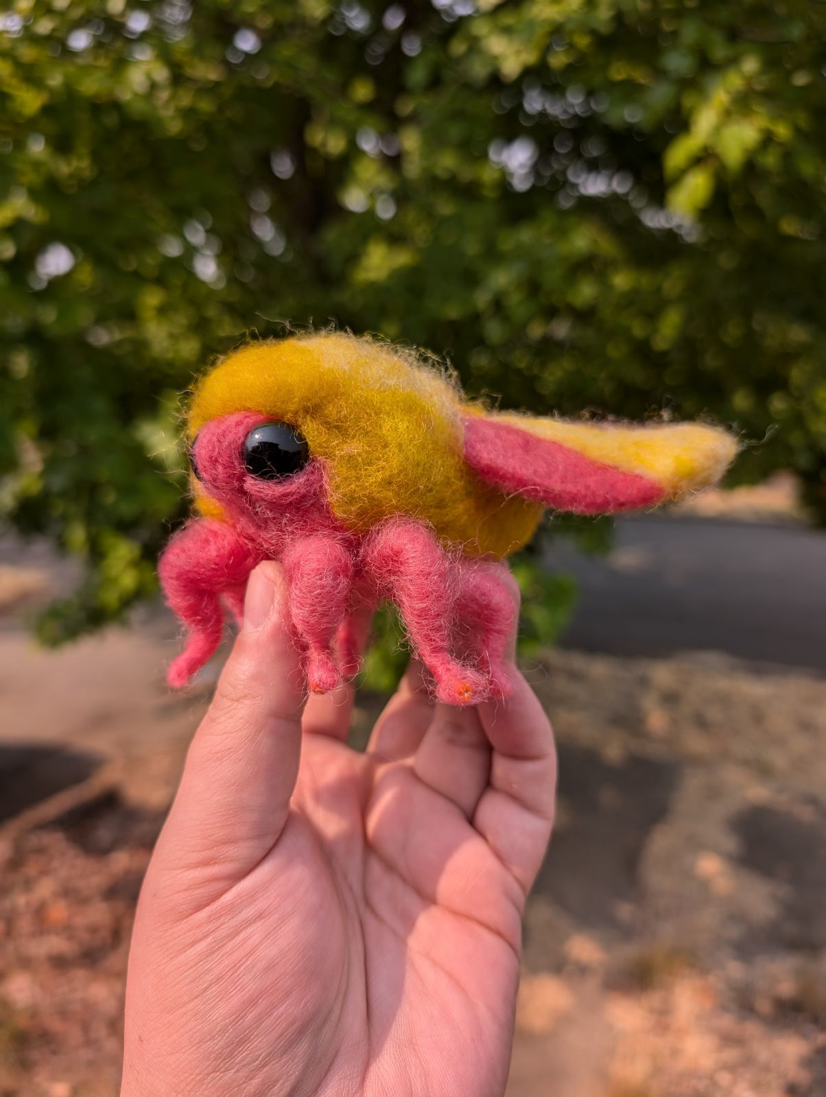Rosy Maple Moth (Made To Order)
