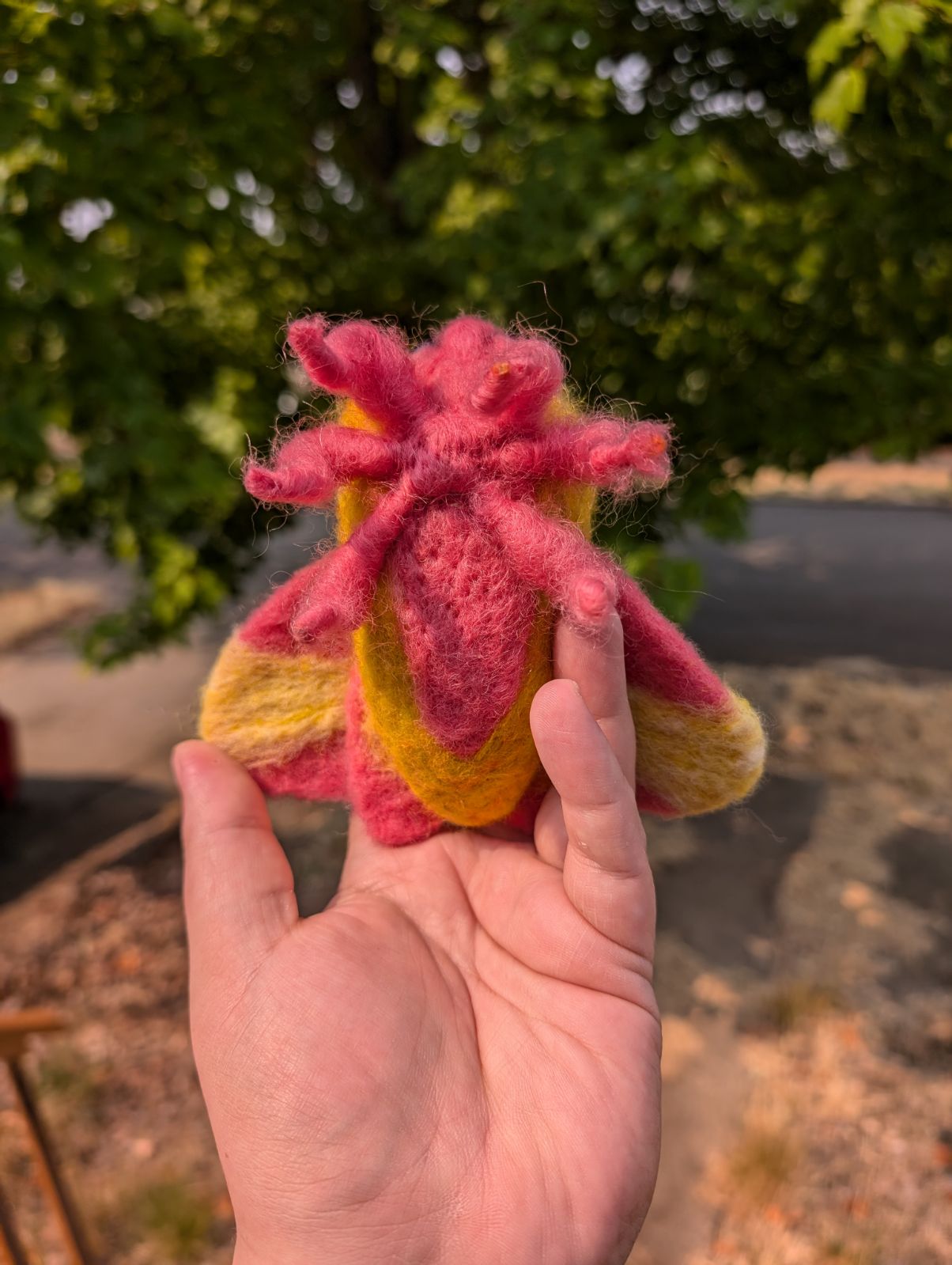Rosy Maple Moth (Made To Order)
