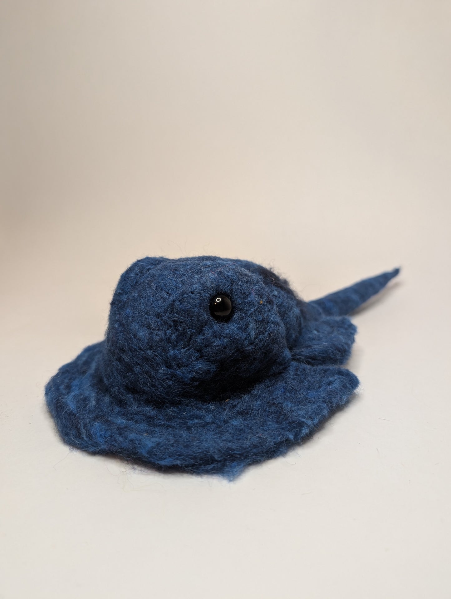 Blue Horseshoe Crab