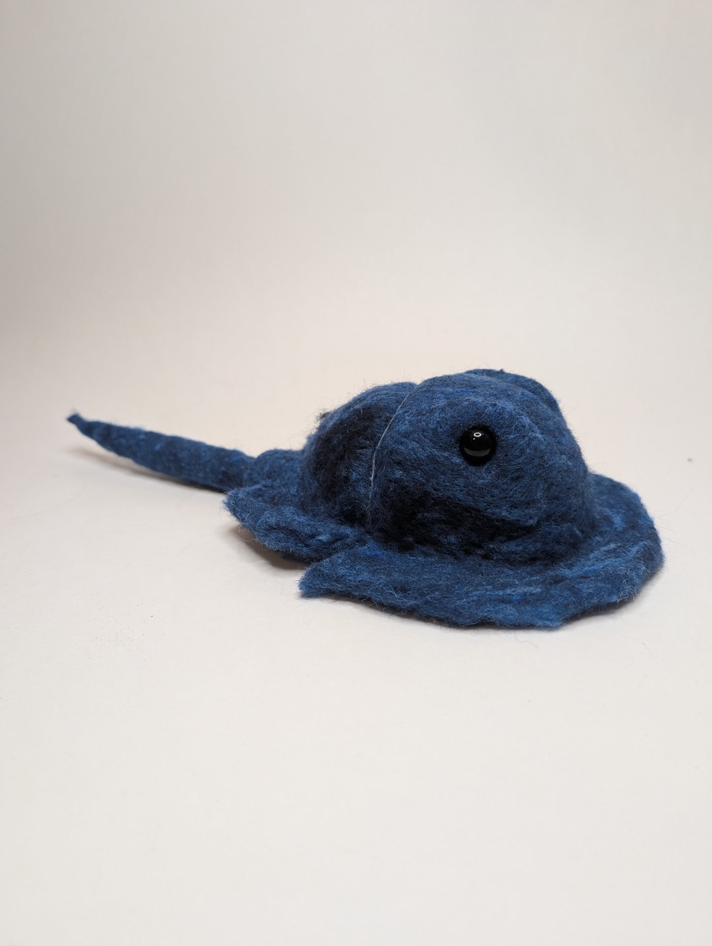 Blue Horseshoe Crab