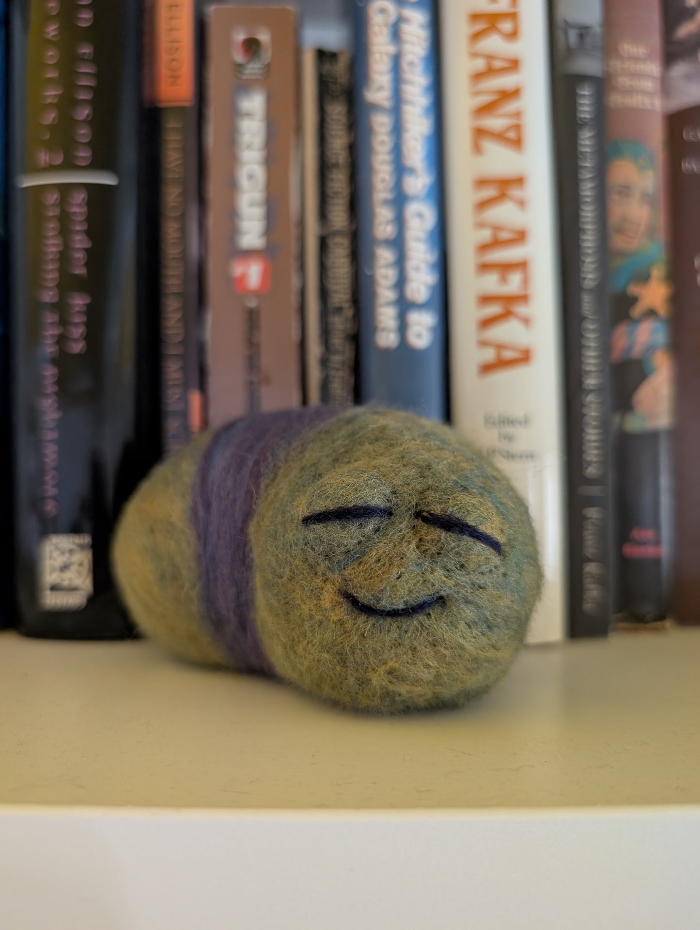 Needle Felted Cute Sleepy Worms