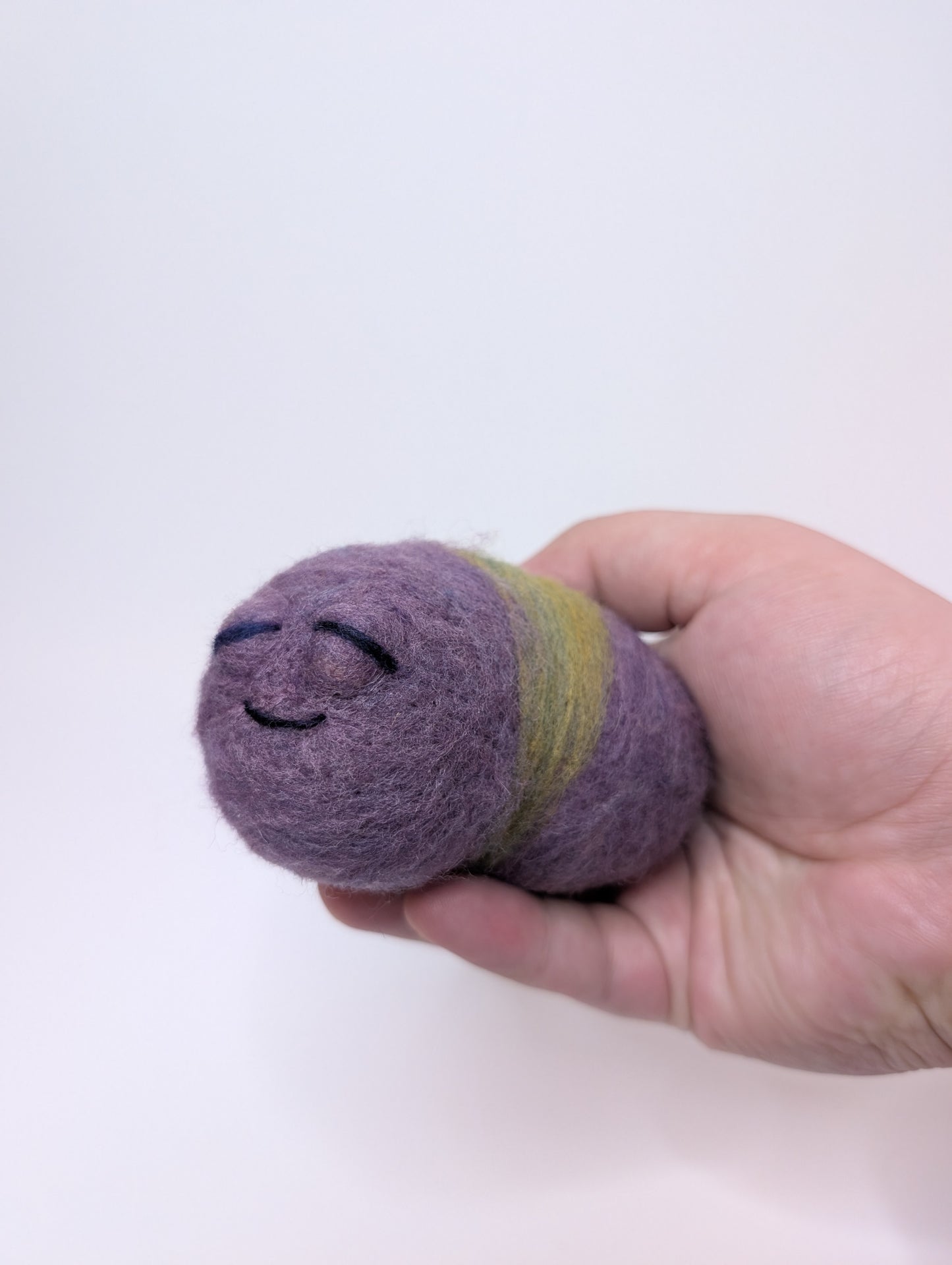 Needle Felted Cute Sleepy Worms
