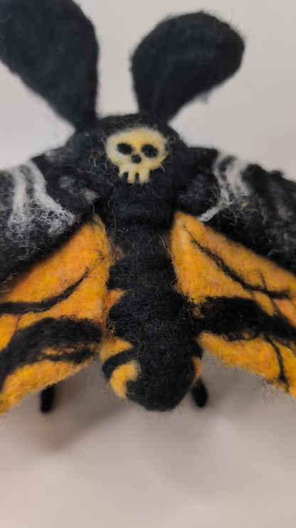 Death's Head Hawk Moth (Made To Order)