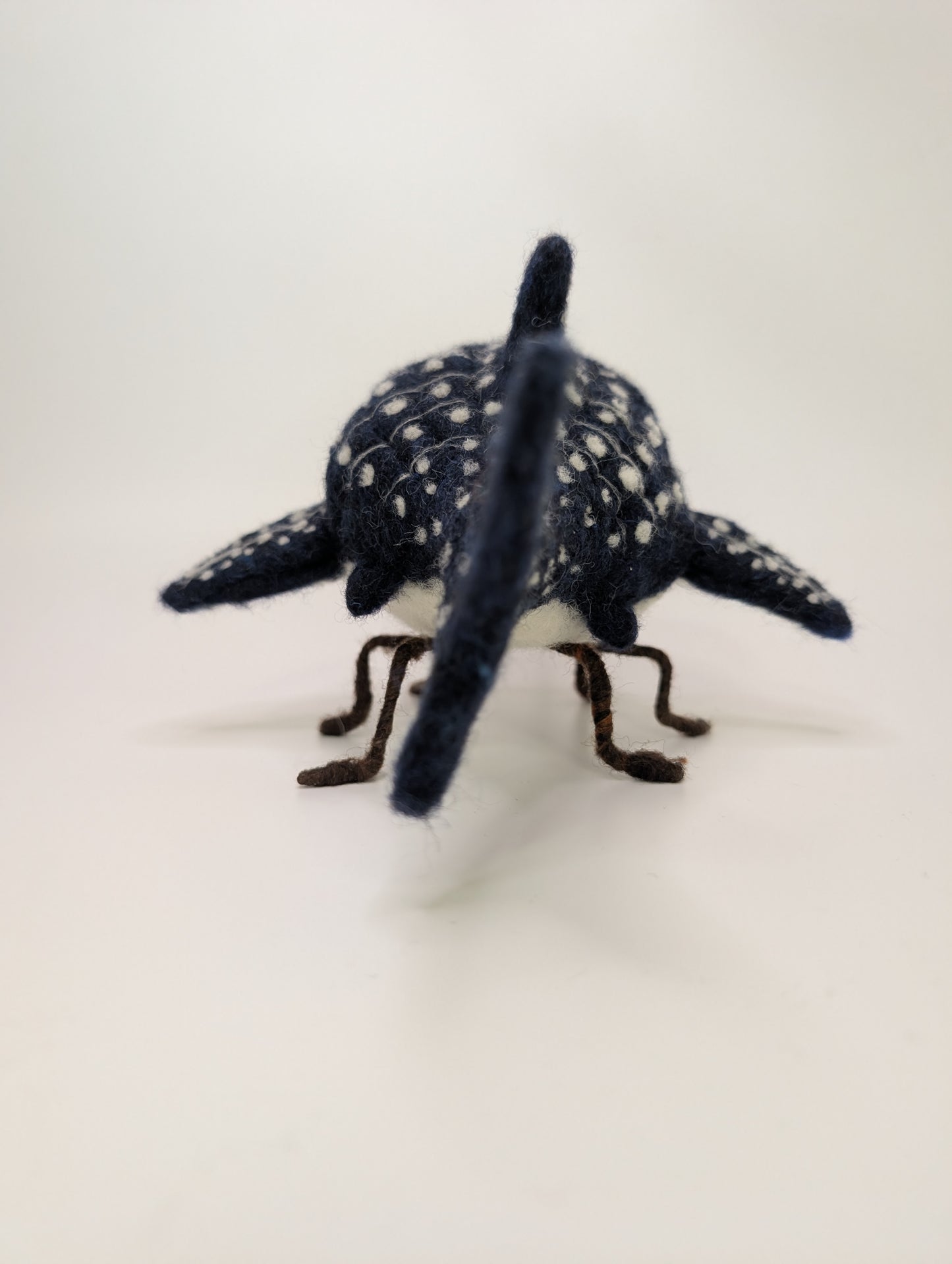 Costumed Weevil (Custom Made To Order)