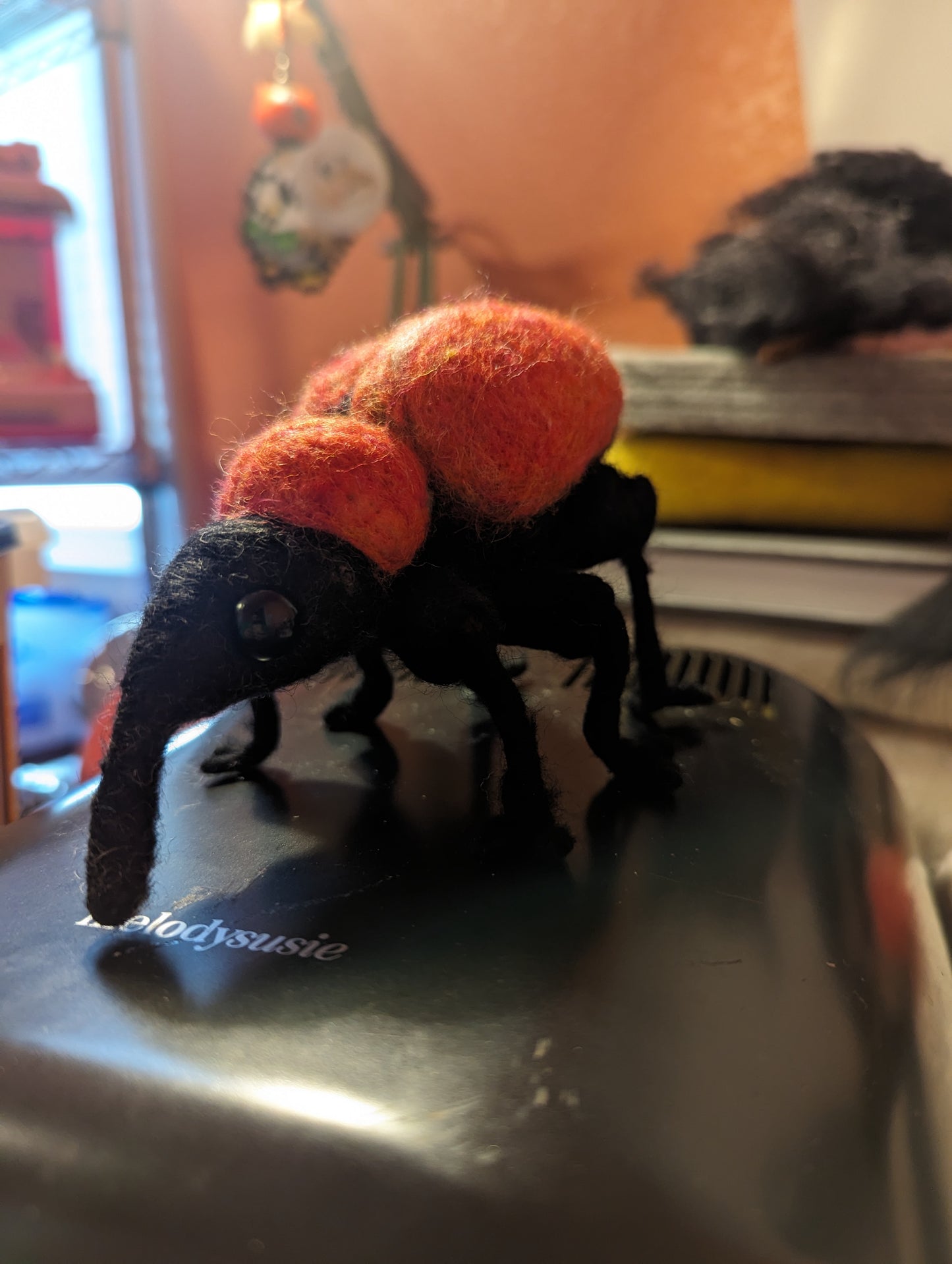 Custom Weevil (Made To Order)