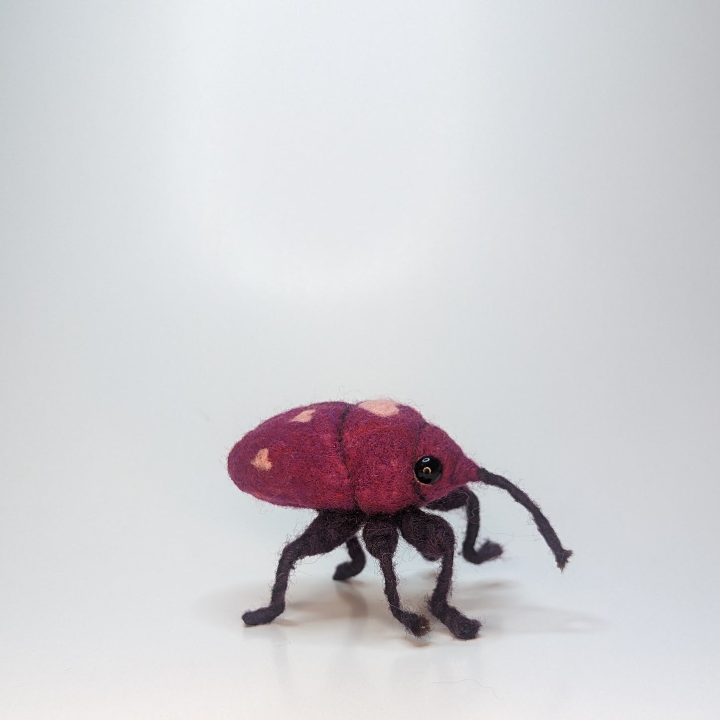 Custom Weevil (Made To Order)