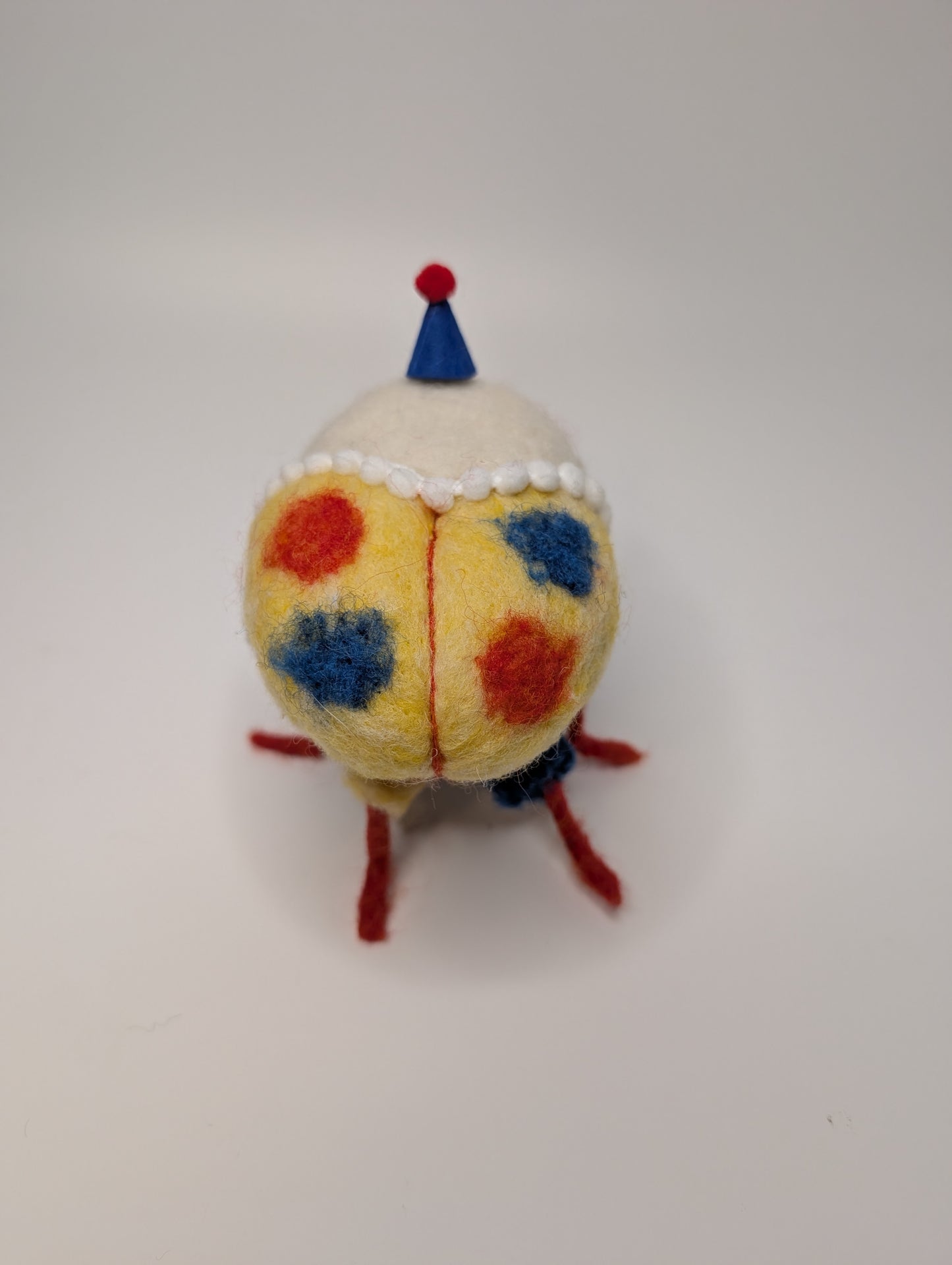 Made To Order Clown Weevil