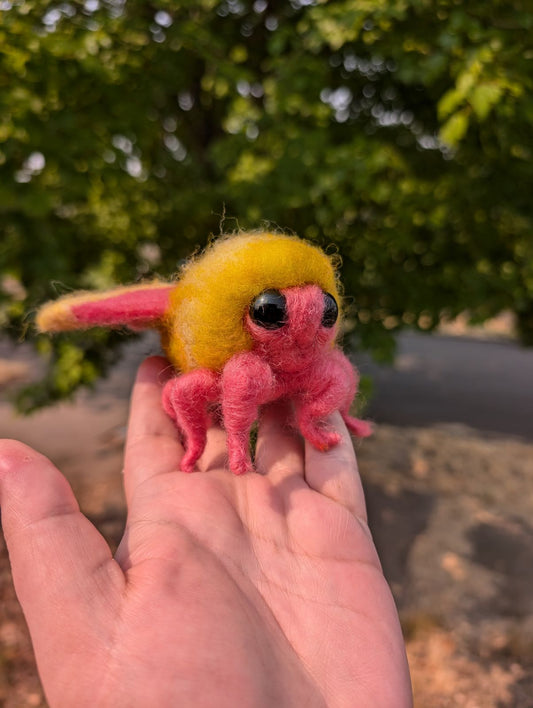 Rosy Maple Moth