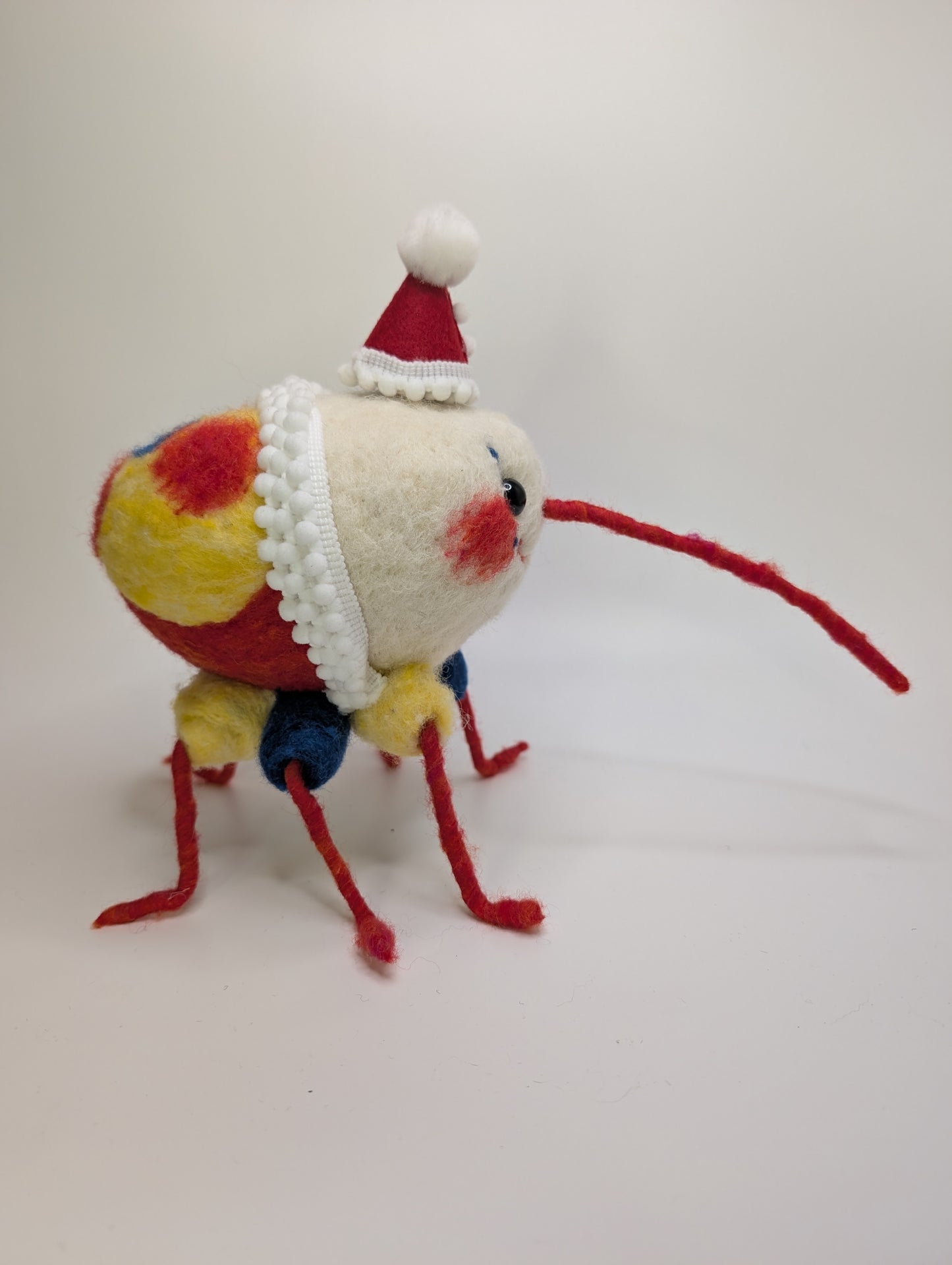 Made To Order Clown Weevil